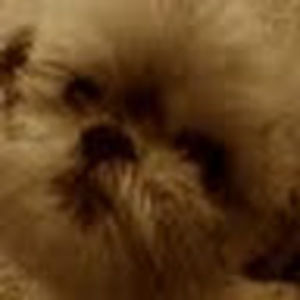 Meet your Posher, Jessica tanner